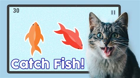Cat fish game for cats 4+ .